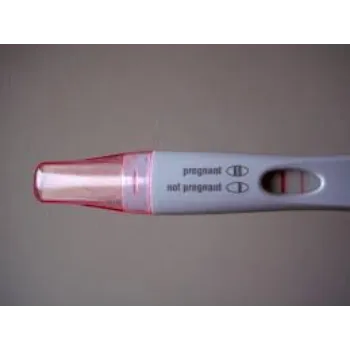  Pregnency Test